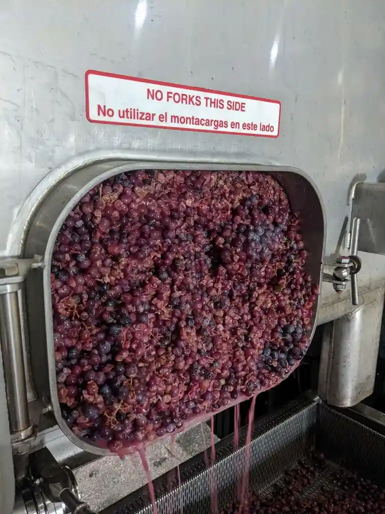 Wine harvest and production at Opolo Vineyards