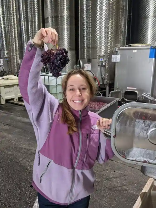 Woman holding a cluster of wine grapes