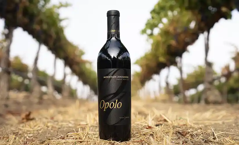Bottle of Opolo Mountain Zinfandel in the vineyard