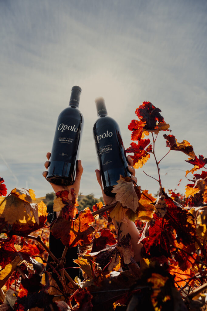 hands holding up two bottles of Opolo wine over fall leaves