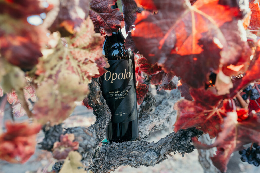 Bottle of Opolo Summit Creek Zinfandel in a tree