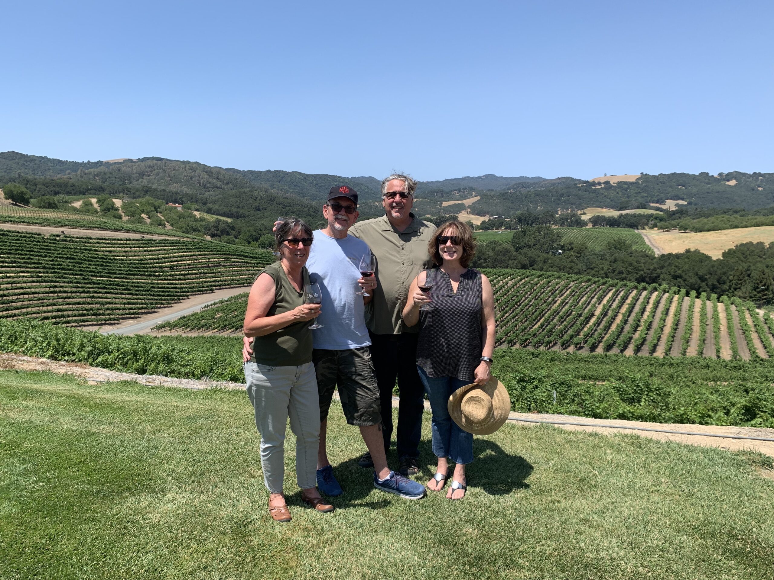 4 people with glasses of wine on a hill overlooking the vineyards