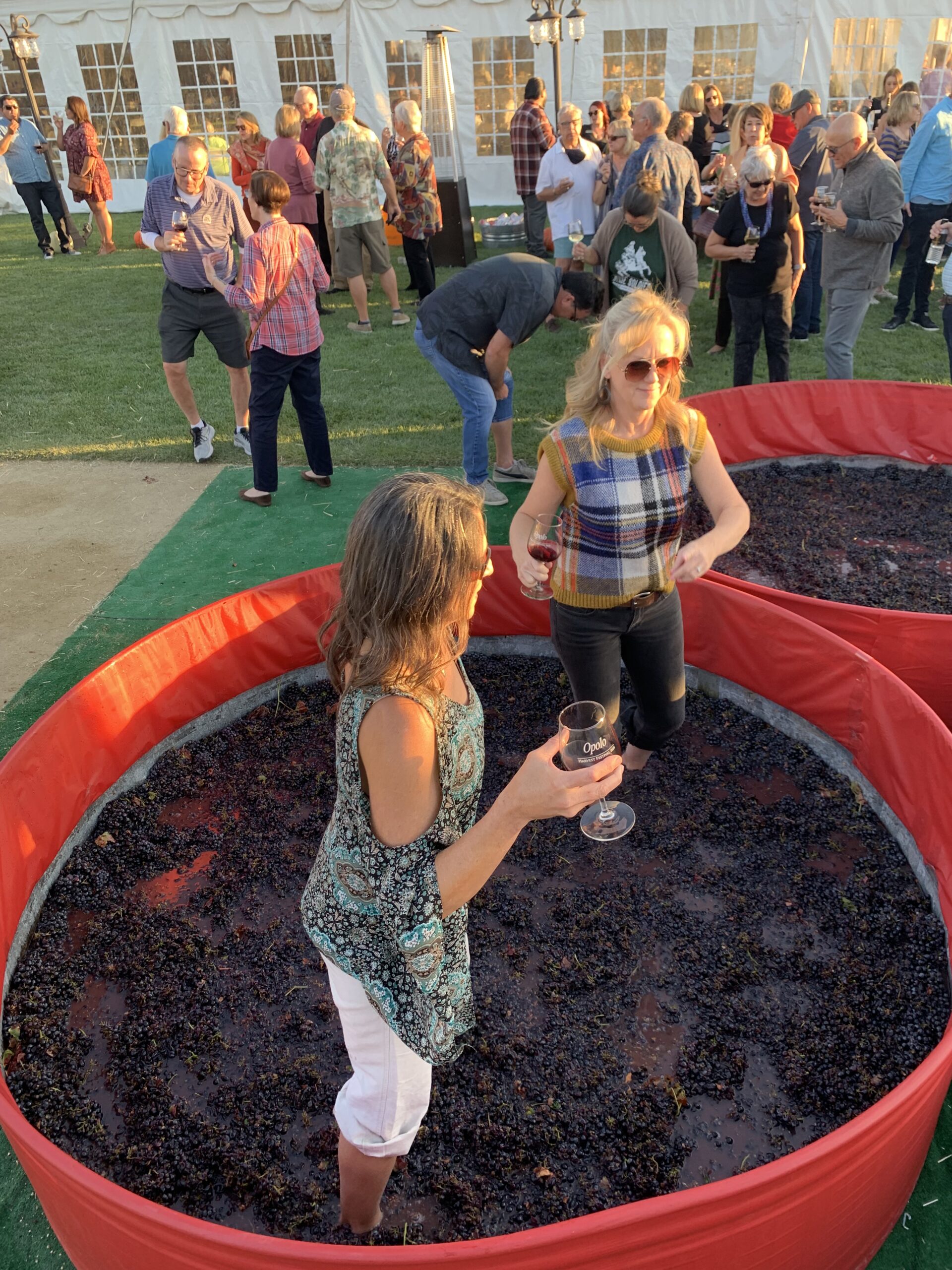 Two women stomping grapes with glasses of wine