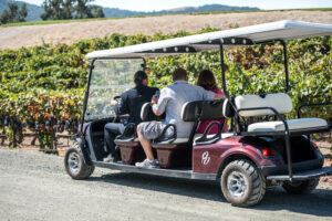 Tour of the Willow Creek District Vineyards