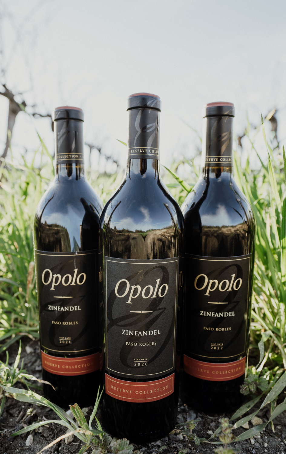 Reserve Zin Trio March 2026