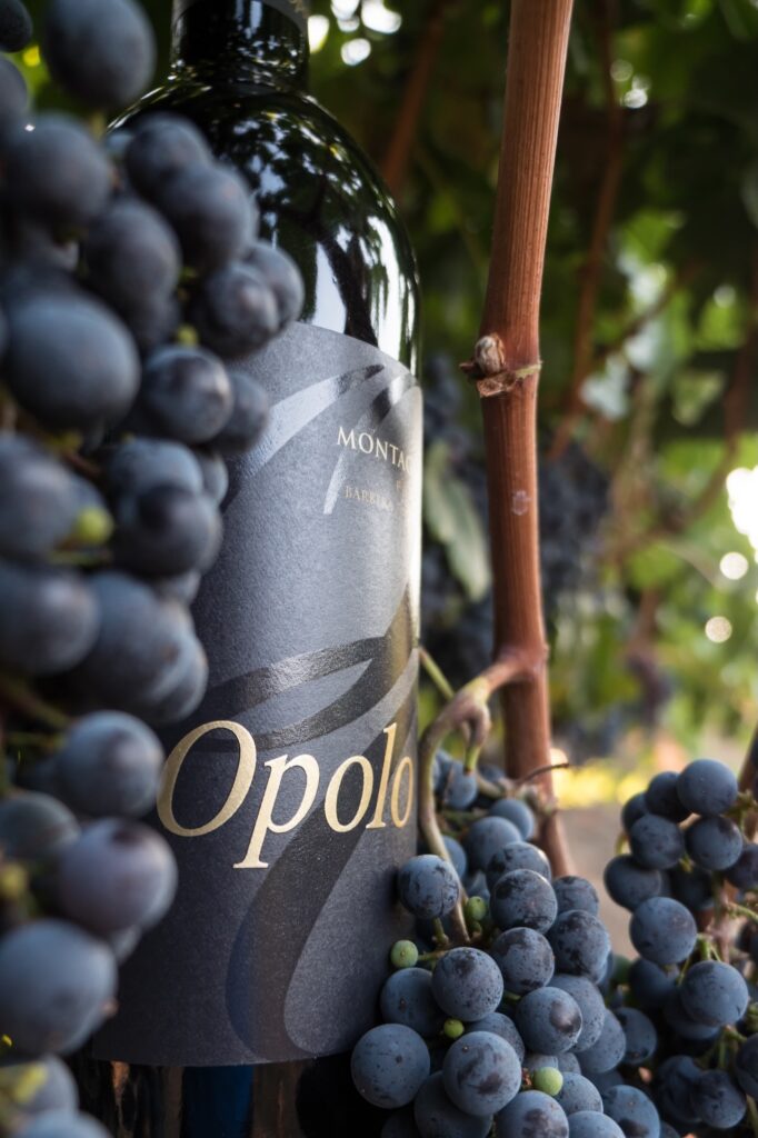 Opolo Montagna Mare - June Wine of the Month