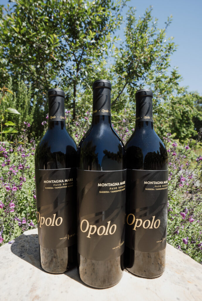 Montagna Mare June 2026 Wine of the Month