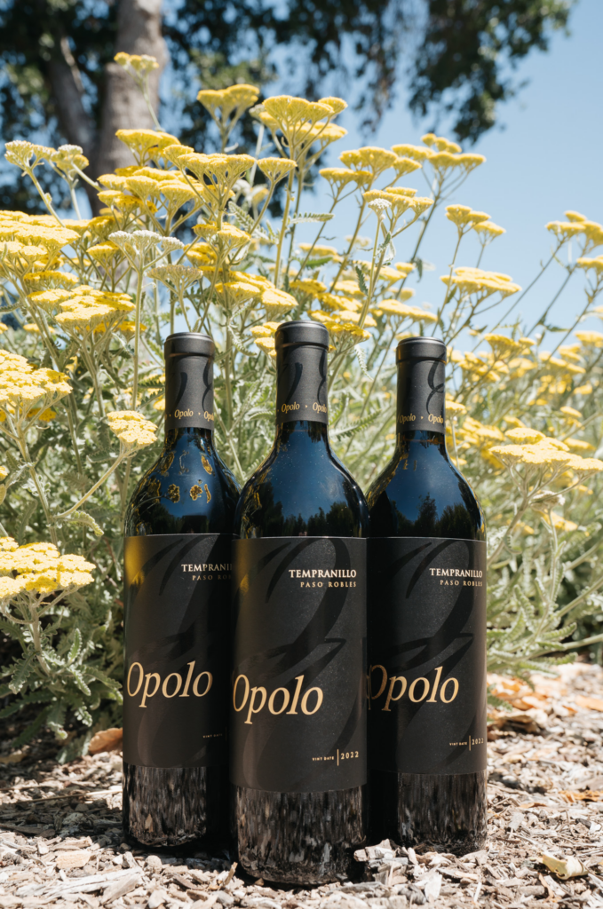 2022 Tempranillo - July Wine of the Month