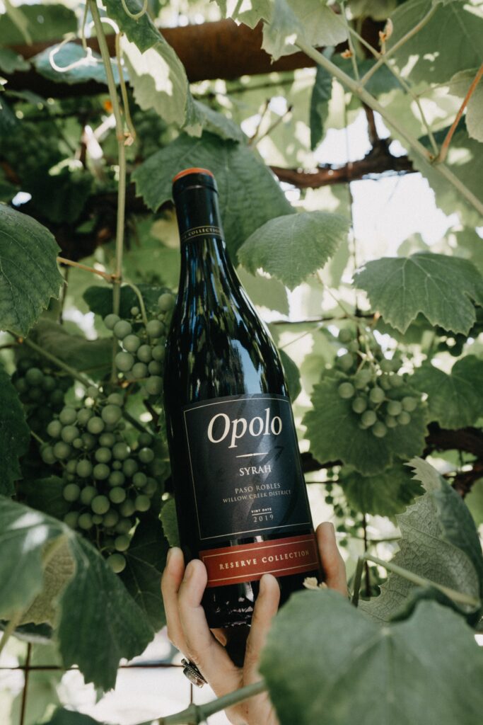 2021 Reserve Willow Creek Syrah - 2026 Central Coast Wine Competition, Double Gold - Best of Class - California Mid-State Fair