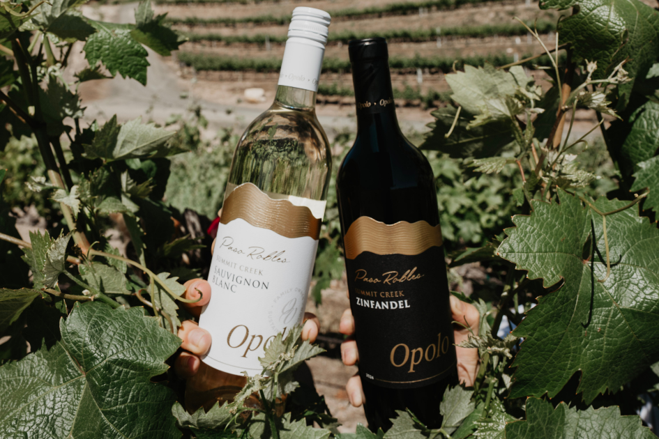 Summit Creek Sauv Blanc + Zinfandel